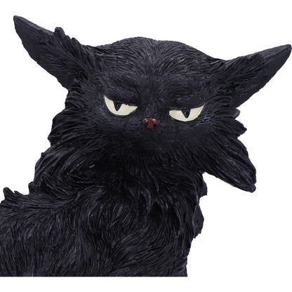 Salem (Small) 19.6cm