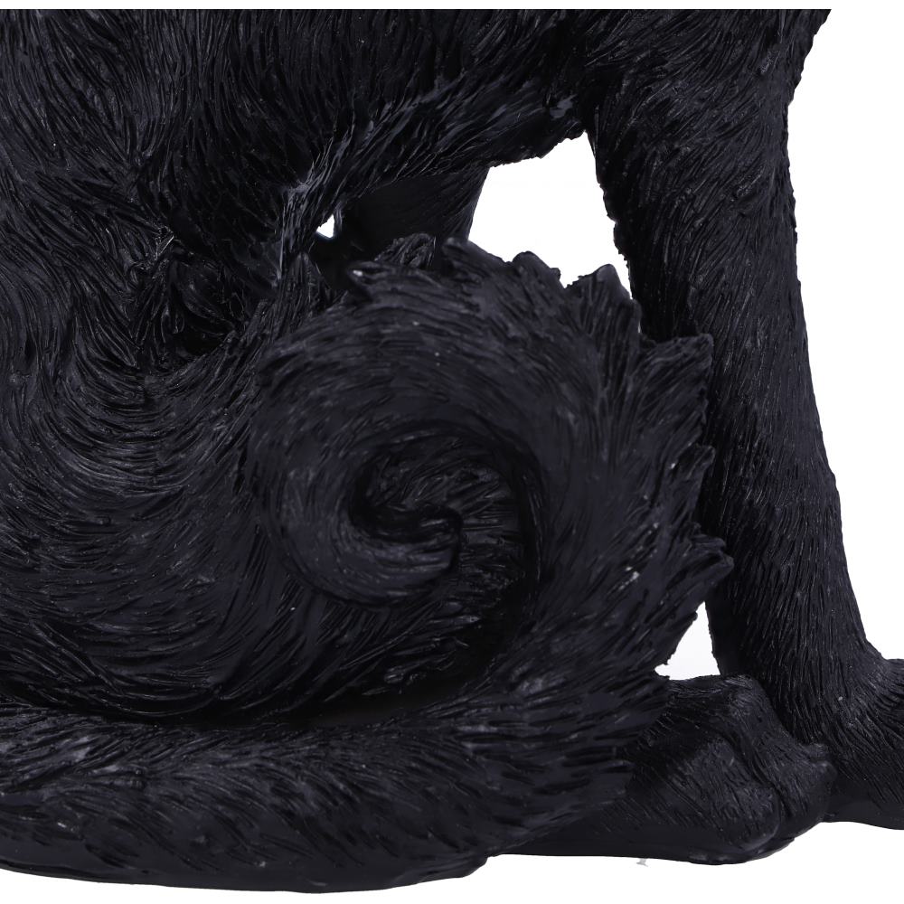 Salem (Small) 19.6cm