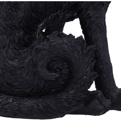 Salem (Small) 19.6cm