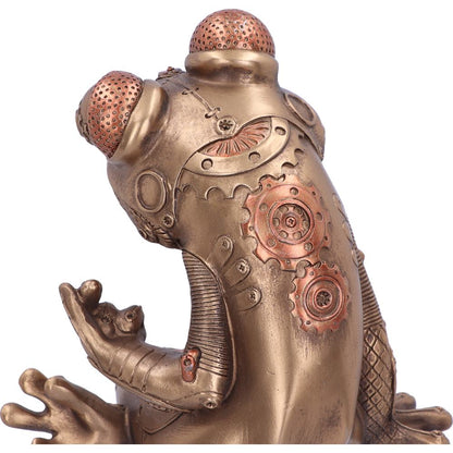 Alpha Anura 30.5cm