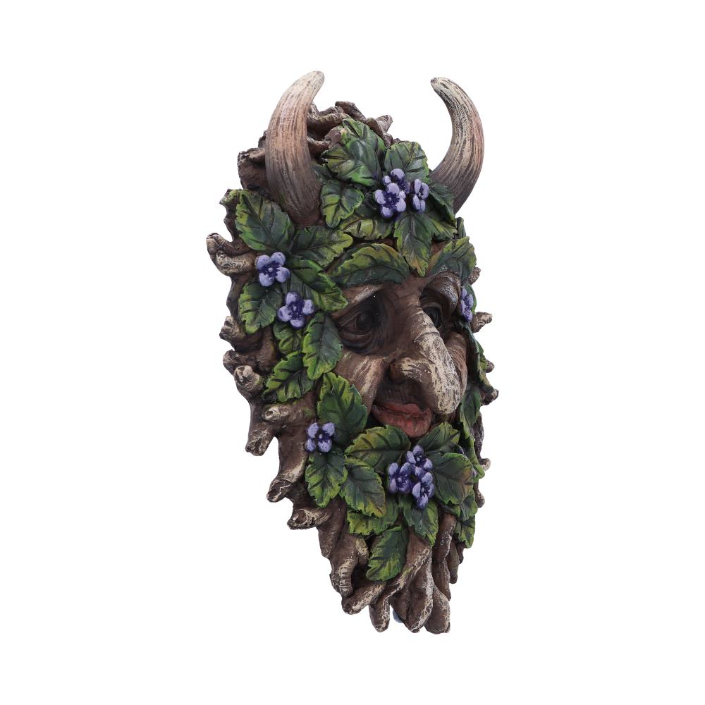 Alder Wall Mounted Tree Spirit 20.2cm