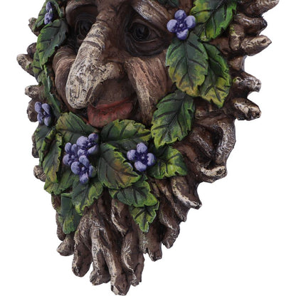 Alder Wall Mounted Tree Spirit 20.2cm