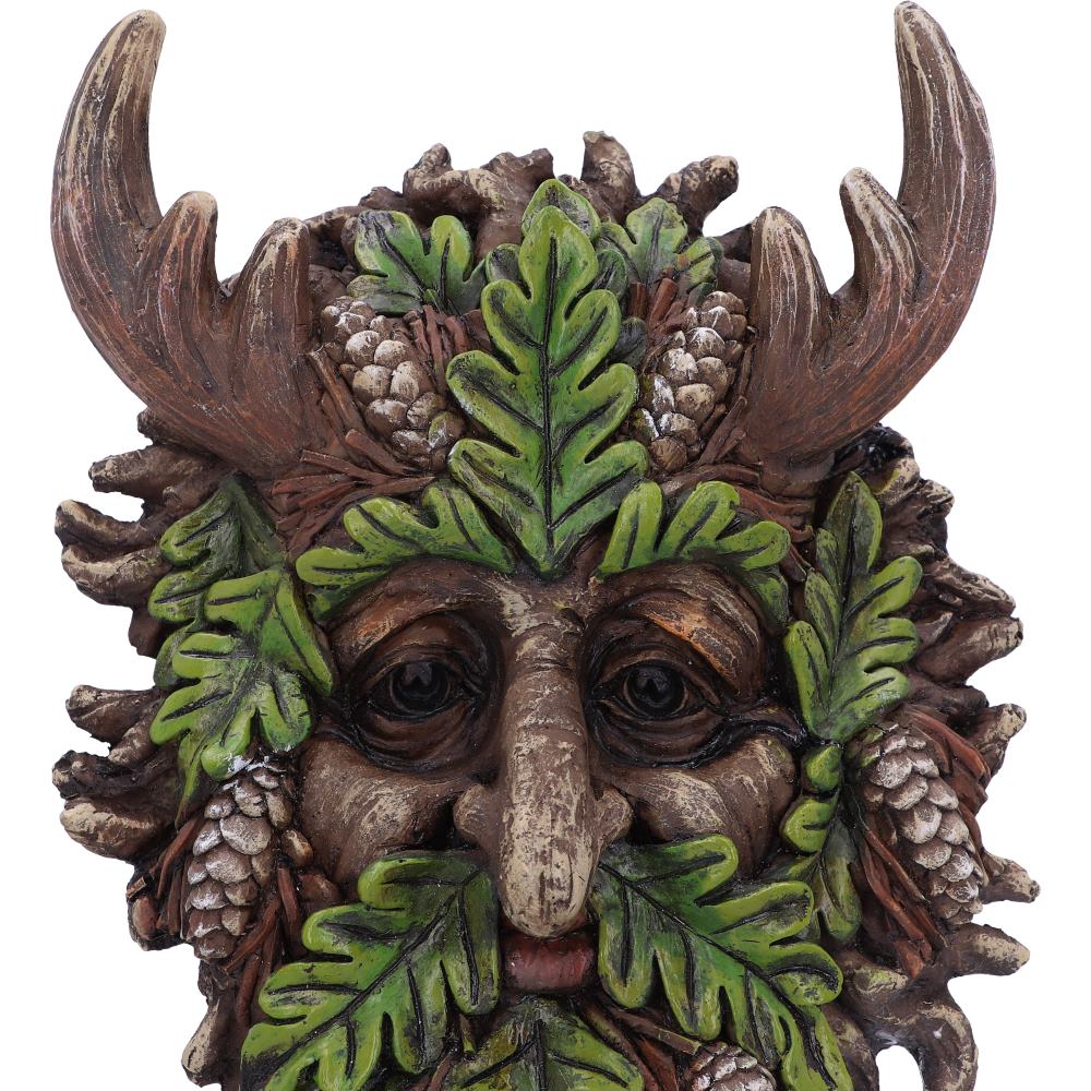 Bryn Wall Mounted Tree Spirit 20.8cm