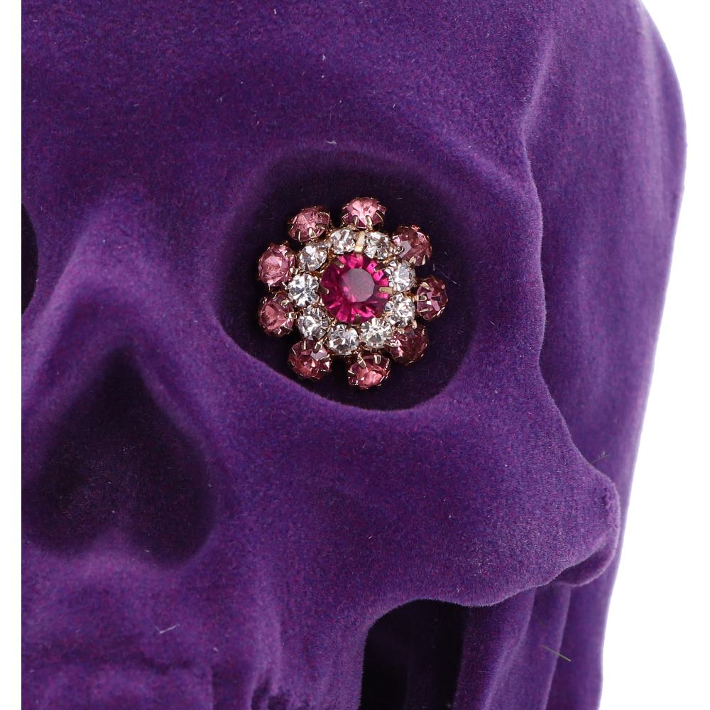Jewelled Gaze 18.7cm