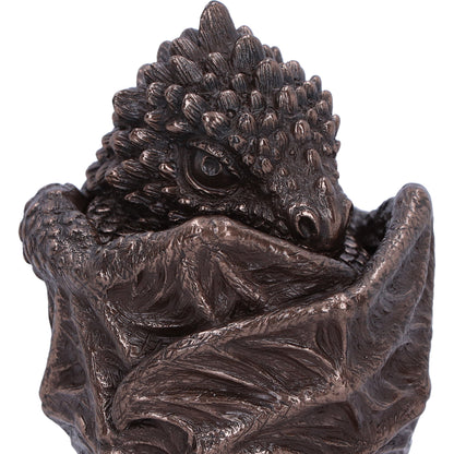 Dragon Snuggle Box 9cm