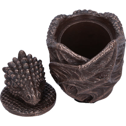 Dragon Snuggle Box 9cm