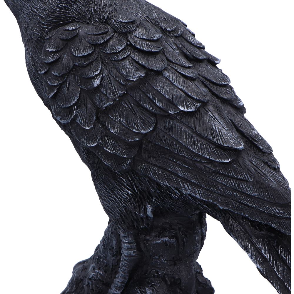 Raven Messenger 25cm