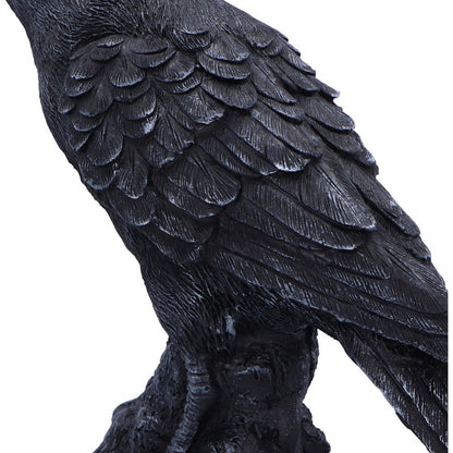 Raven Messenger 25cm