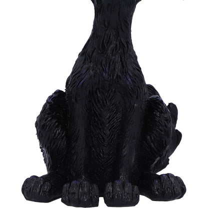 Kat 20cm