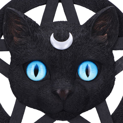 Feline Worship 25.5cm