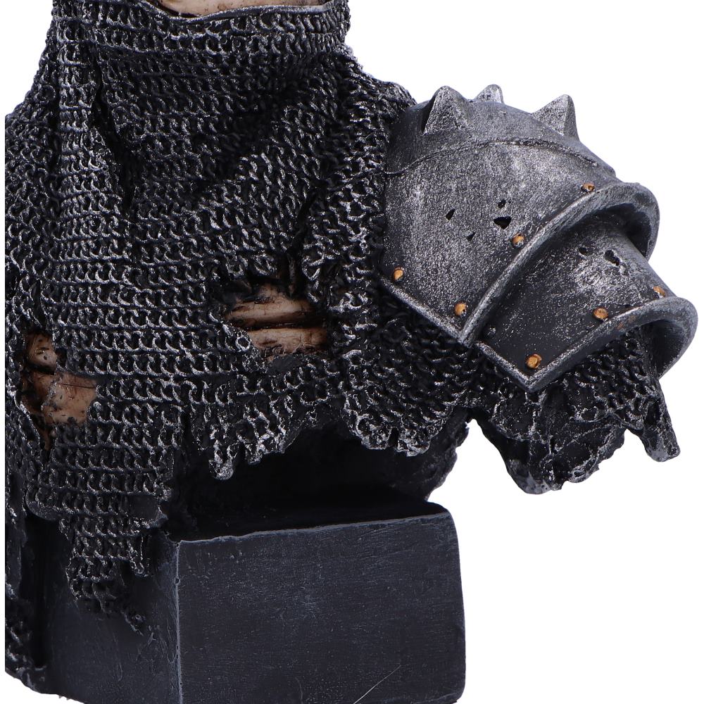 Into the Knight 19cm