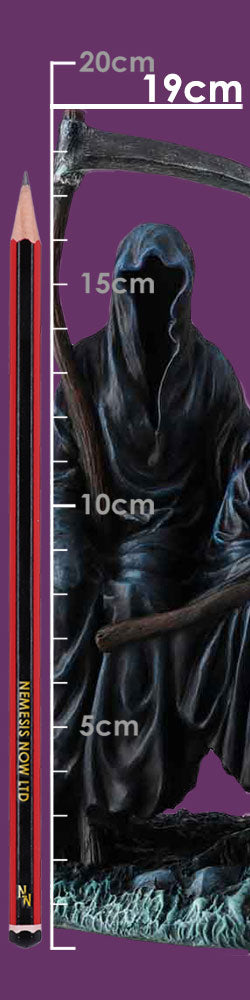 Next in Line 19cm