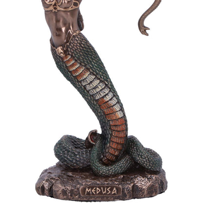 Medusa's Wrath (Medium) 15.5cm