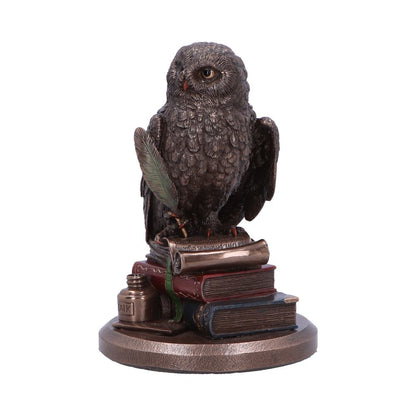 An Owl's Tale 14.5cm