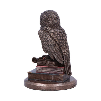 An Owl's Tale 14.5cm