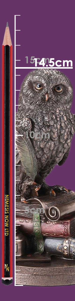 An Owl's Tale 14.5cm