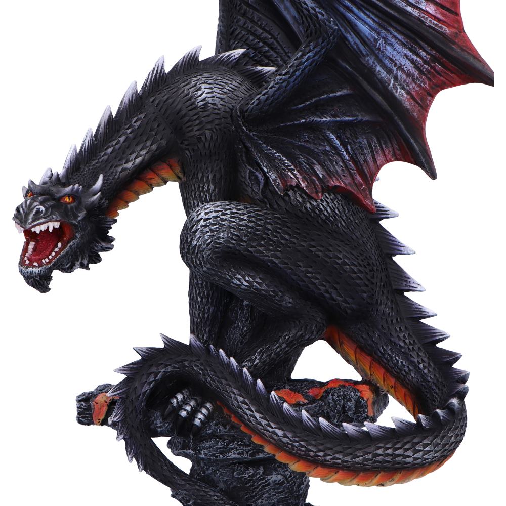 Cathoron's Call 49cm