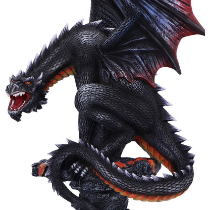 Cathoron's Call 49cm