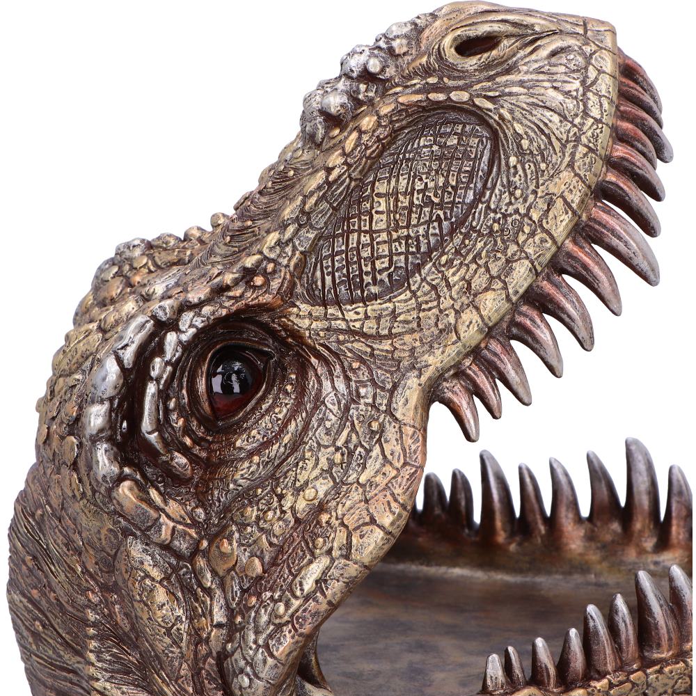 Tyrannosaurus Rex Dish 24cm