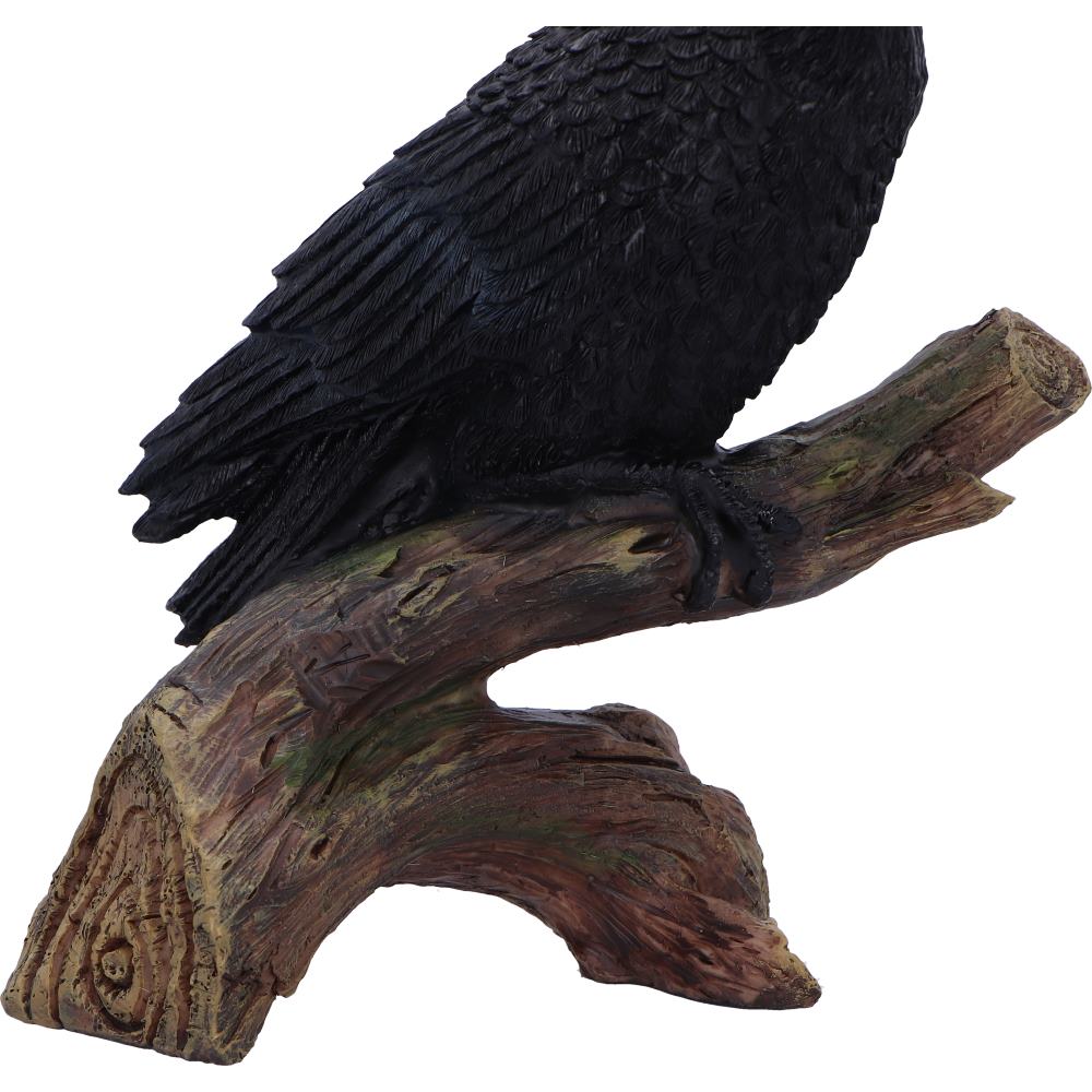 Ravens Perch 20cm