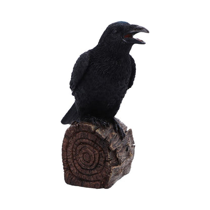 Ravens Cry 18cm