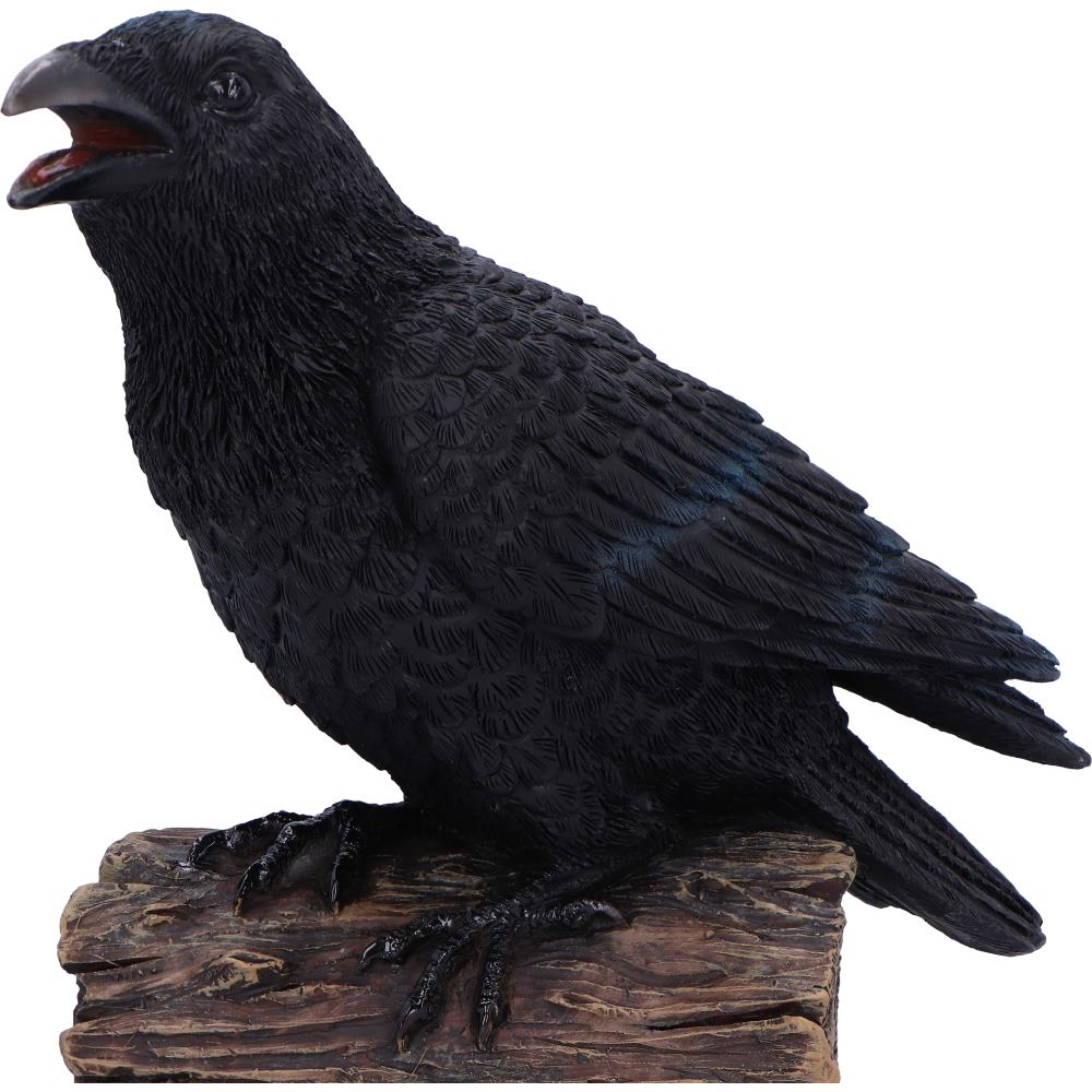 Ravens Cry 18cm