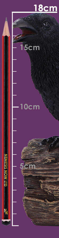 Ravens Cry 18cm