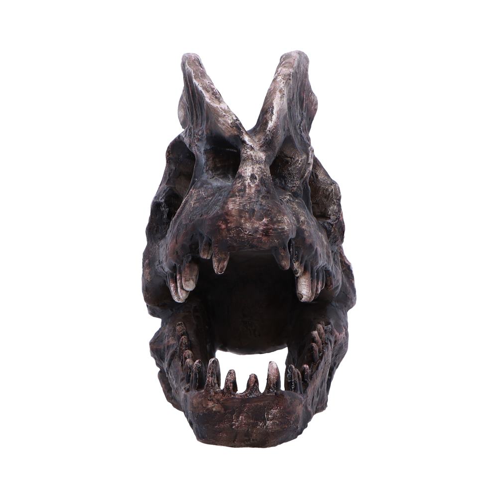 Dilophosaurus Skull 16cm
