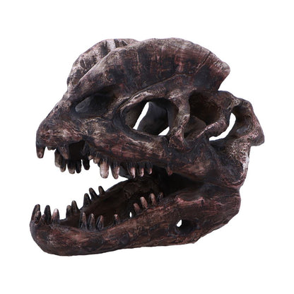 Dilophosaurus Skull 16cm