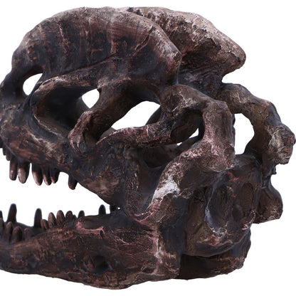 Dilophosaurus Skull 16cm