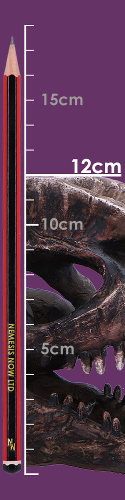 Dilophosaurus Skull 16cm