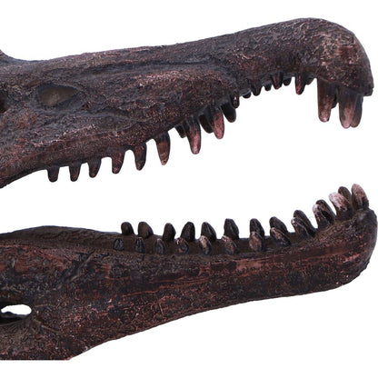 Spinosaurus Skull 16cm