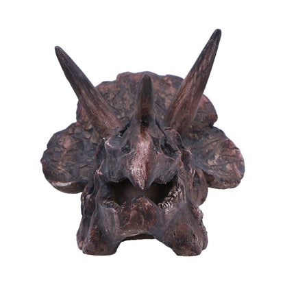 Triceratops Skull 14.5cm