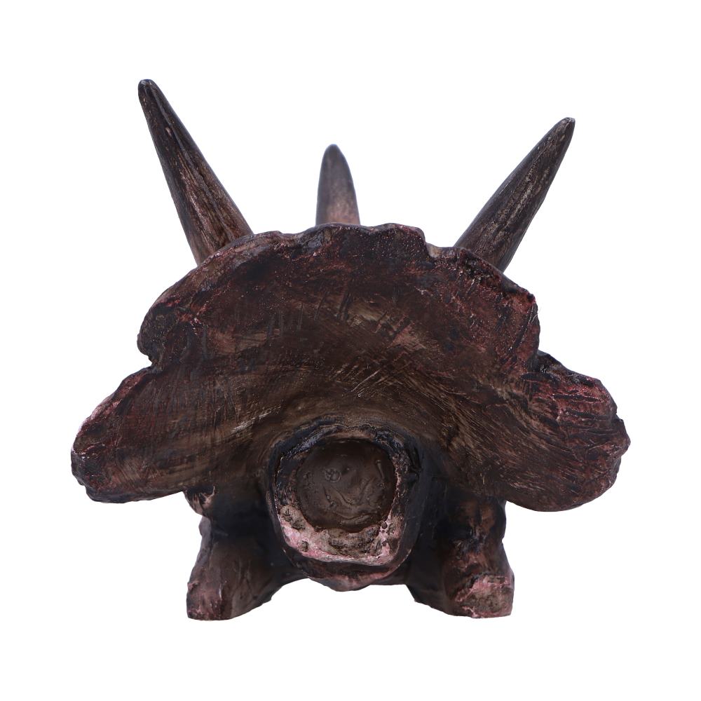 Triceratops Skull 14.5cm