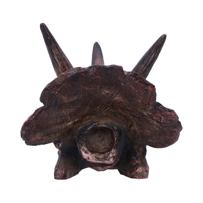 Triceratops Skull 14.5cm