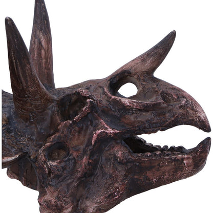 Triceratops Skull 14.5cm