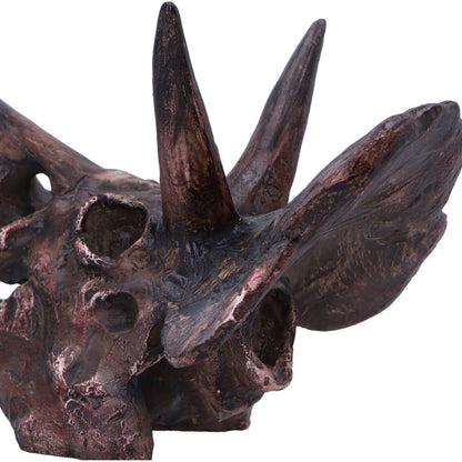 Triceratops Skull 14.5cm