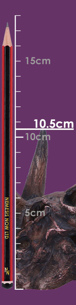 Triceratops Skull 14.5cm