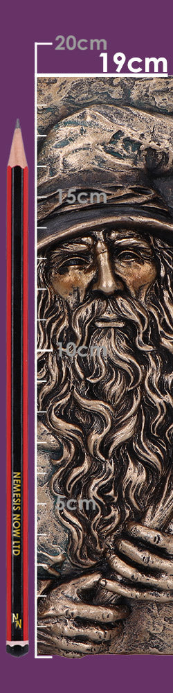 Wizard's Grimoire Journal 19cm