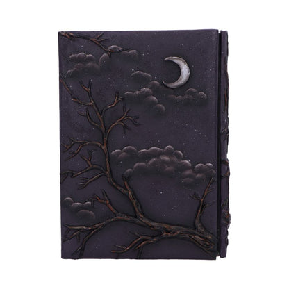 Raven's Grimoire Journal 19cm