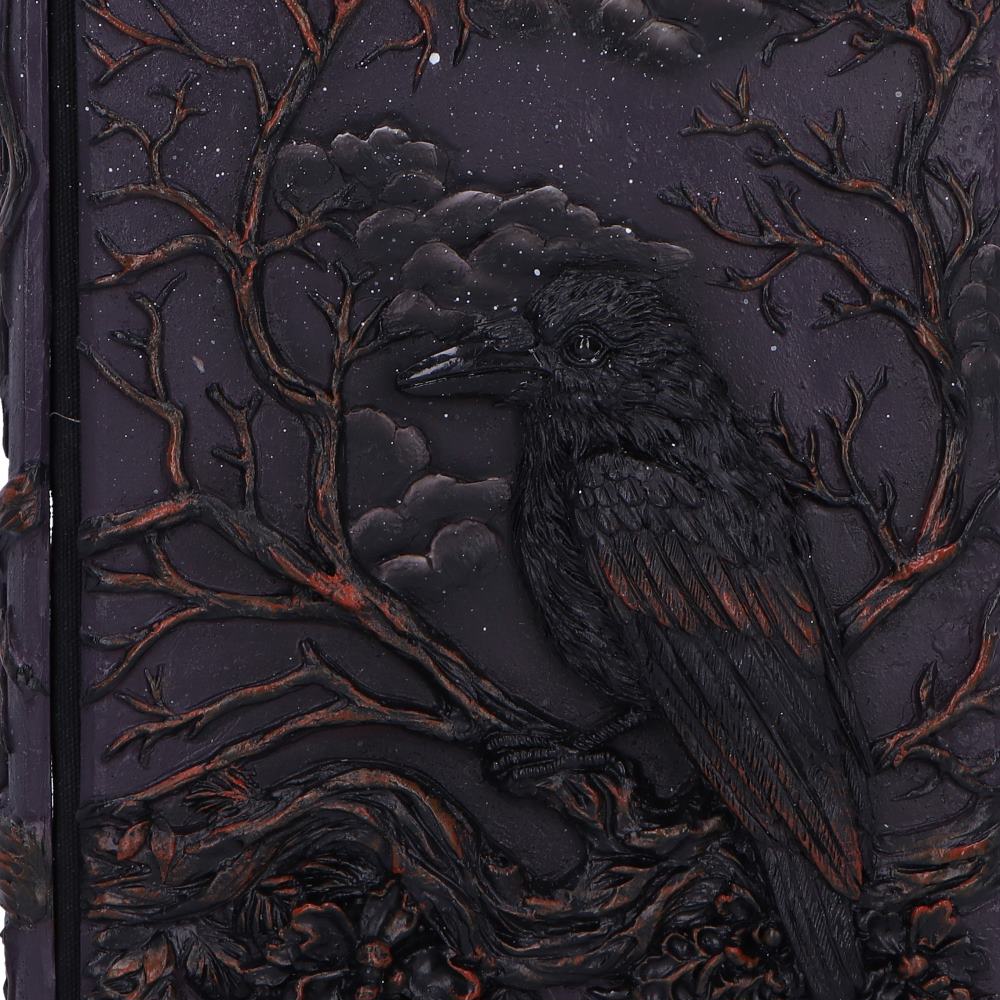 Raven's Grimoire Journal 19cm