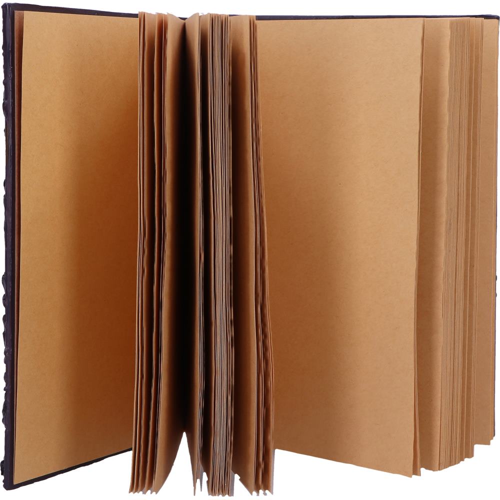 Raven's Grimoire Journal 19cm