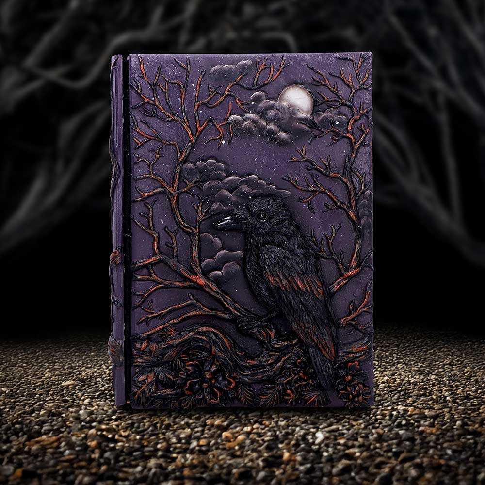 Raven's Grimoire Journal 19cm
