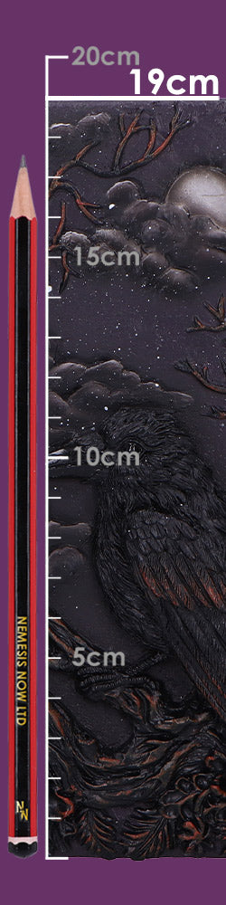Raven's Grimoire Journal 19cm