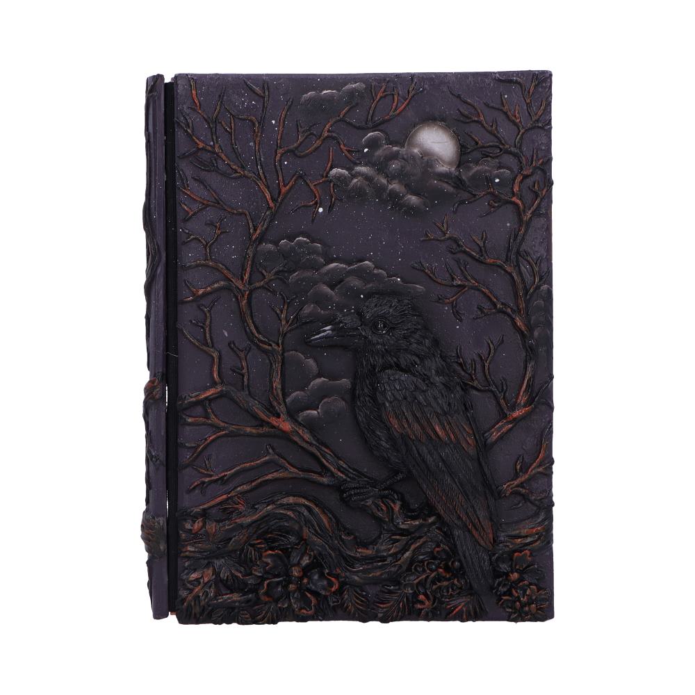 Raven's Grimoire Journal 19cm