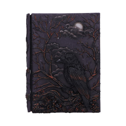Raven's Grimoire Journal 19cm