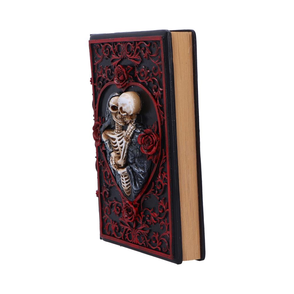 Lovers Grimoire Journal 19cm