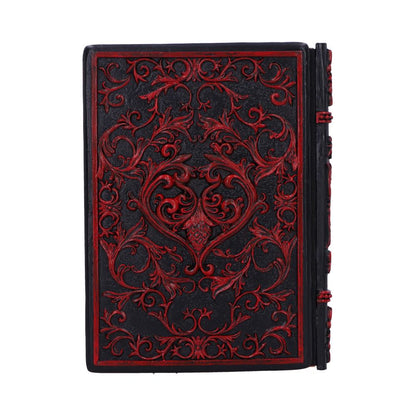 Lovers Grimoire Journal 19cm