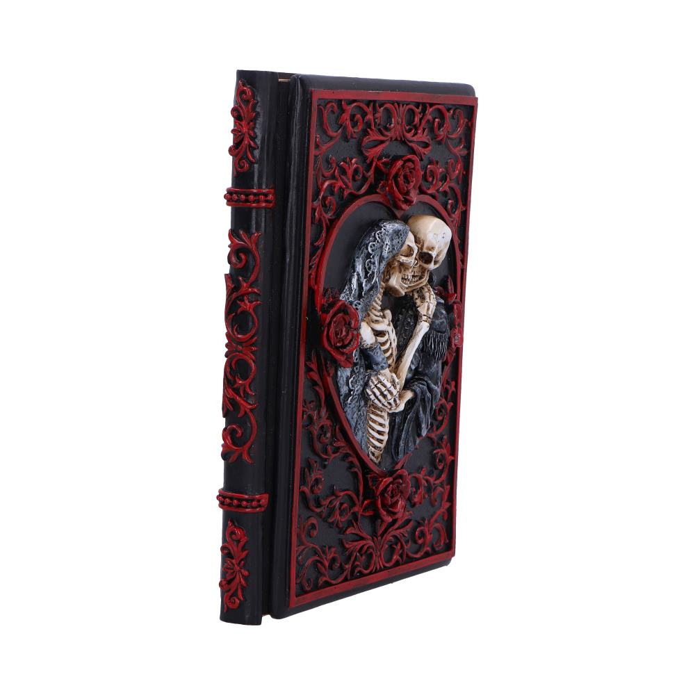 Lovers Grimoire Journal 19cm