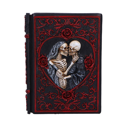 Lovers Grimoire Journal 19cm
